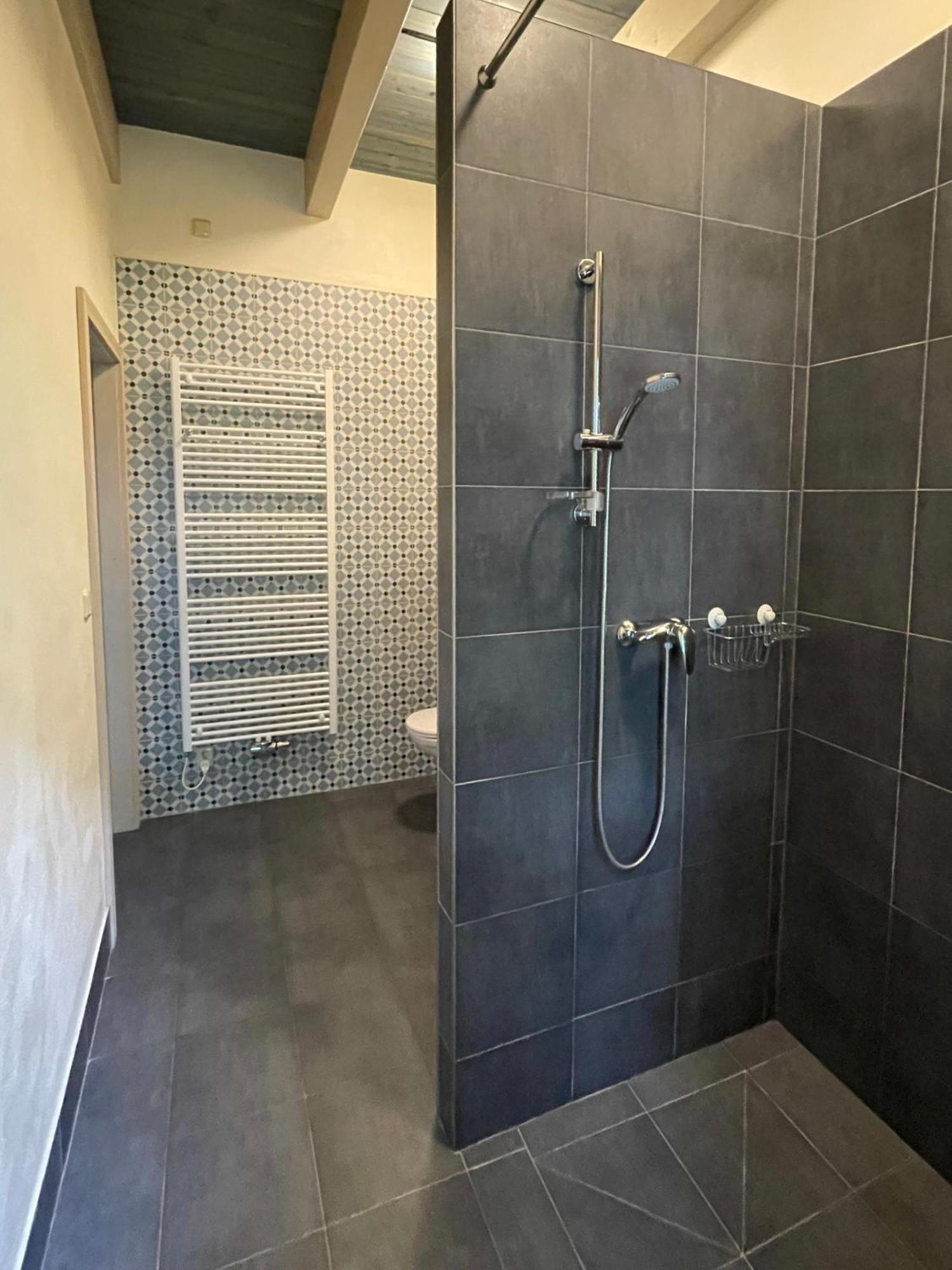 Apartmany Modrinovy Dum Horní Planá 客房 照片
